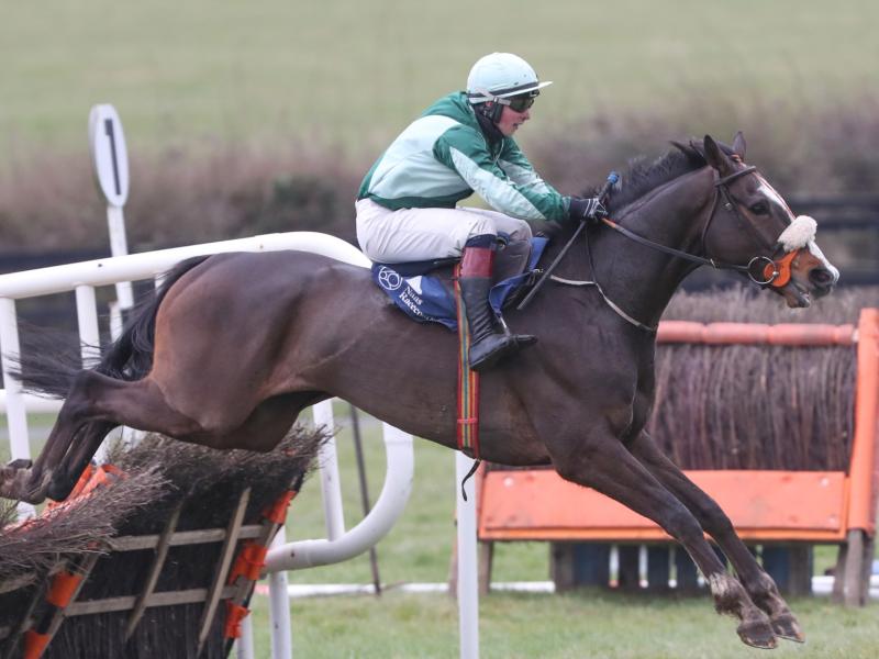 Limerick racing enthusiasts in red hot form on the track