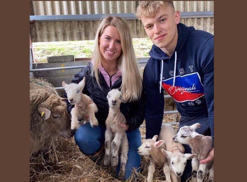It&rsquo;s &lsquo;Eweureka!&rsquo; Quintuplet lambs on Limerick farm