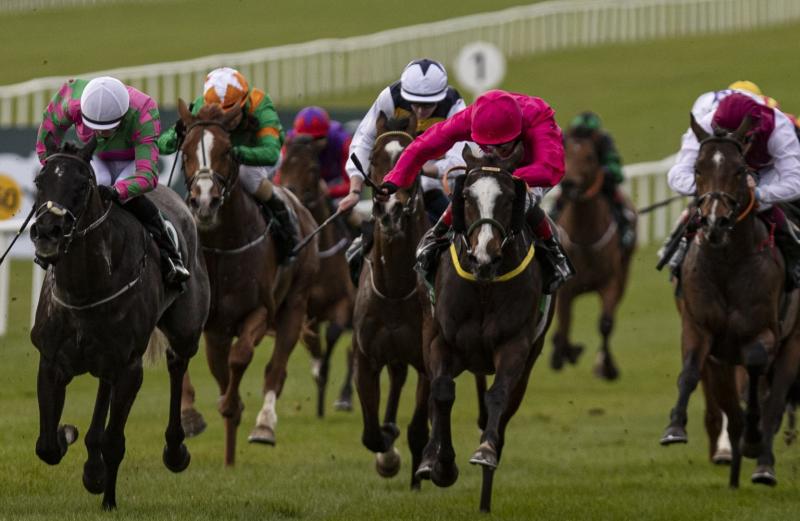 Limerick jockeys racking up the winners