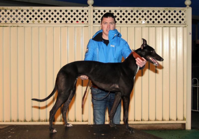 Explosive star to Con and Annie Kirby Memorial Stake at Limerick Stadium