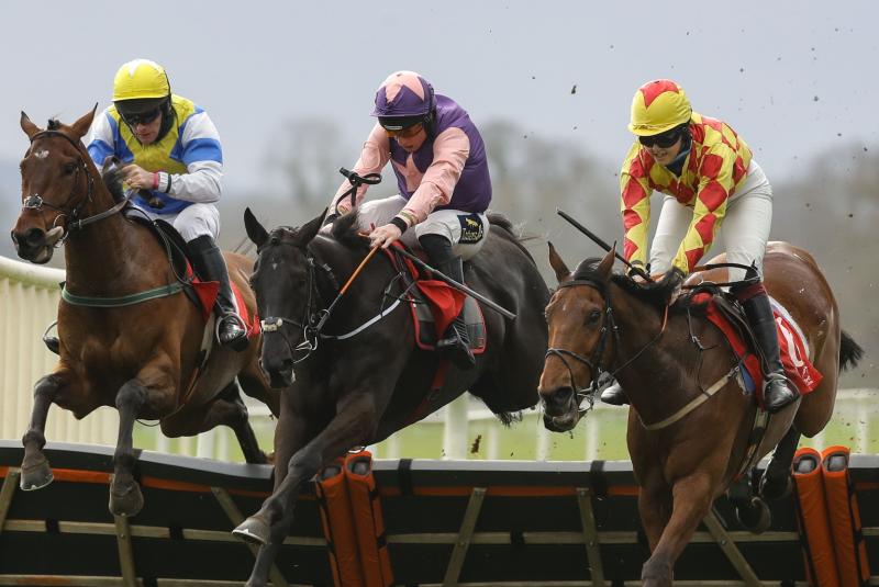 Limerick horse racing connections racking up the winners