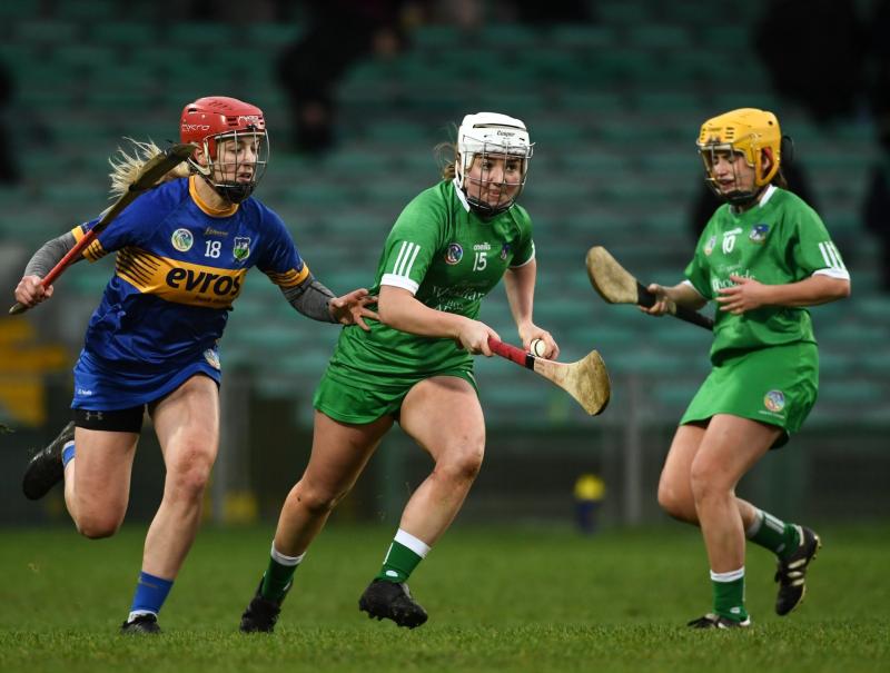 Limerick's camogie league fixtures are revealed