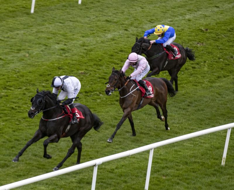 Limerick jockeys visit the winners' enclosure