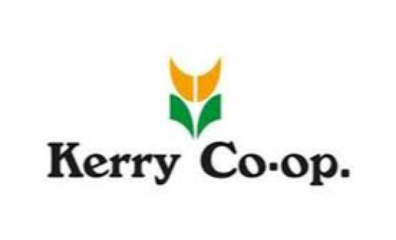 Kerry proposal puts milk suppliers' livelihoods 'at risk' - Limerick IFA chairman