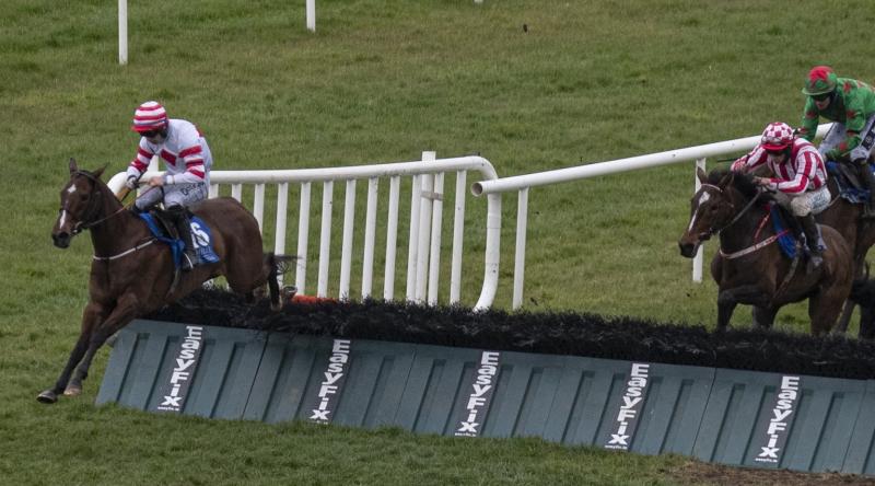 Bumper spell of success for Limerick racing connections