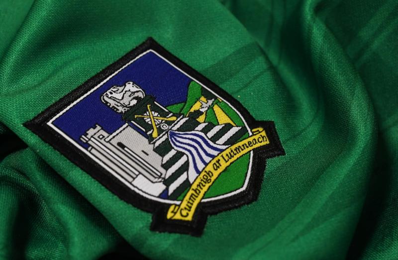 Billy Lee confirmed 2021 Limerick football panel 