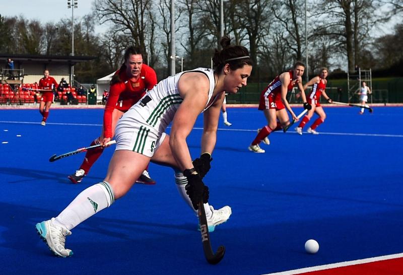 Limerick's Catholic Institute with two players in Ireland's European Championship squad