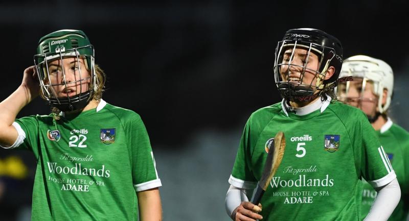 Limerick name starting teams for two Littlewoods Ireland Camogie League fixtures