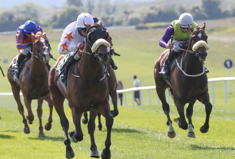 Winners alright for Limerick horse racing connections