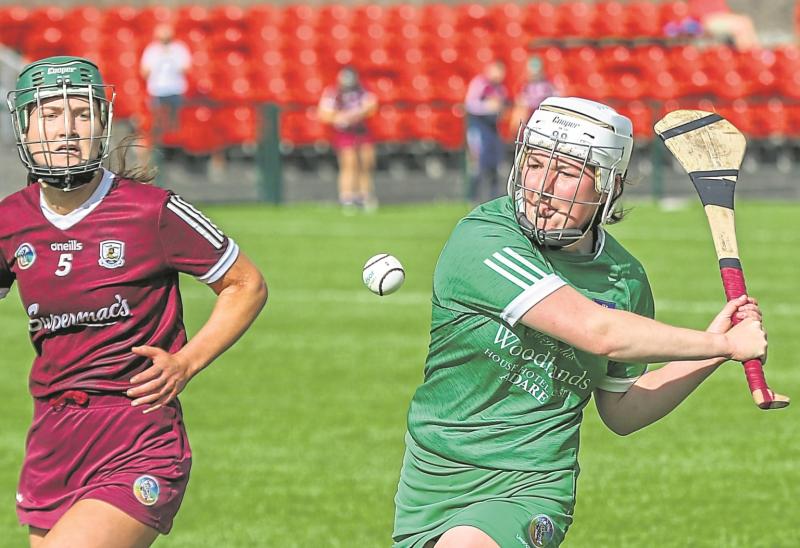 Fixture details for Limerick Division 1 camogie league quarter-final