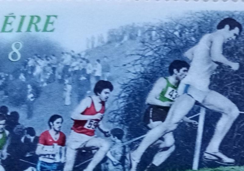 Limerick Athletics - Weekly News Update