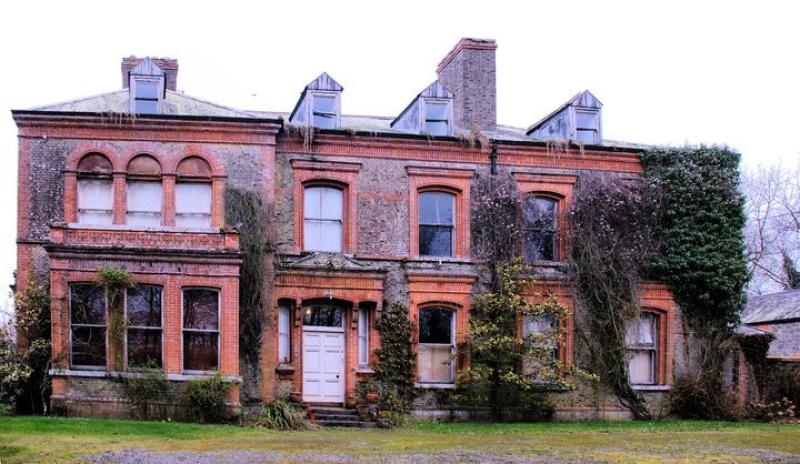 Limerick billionaire entrepreneur John Collison plans new use for Millbrook House