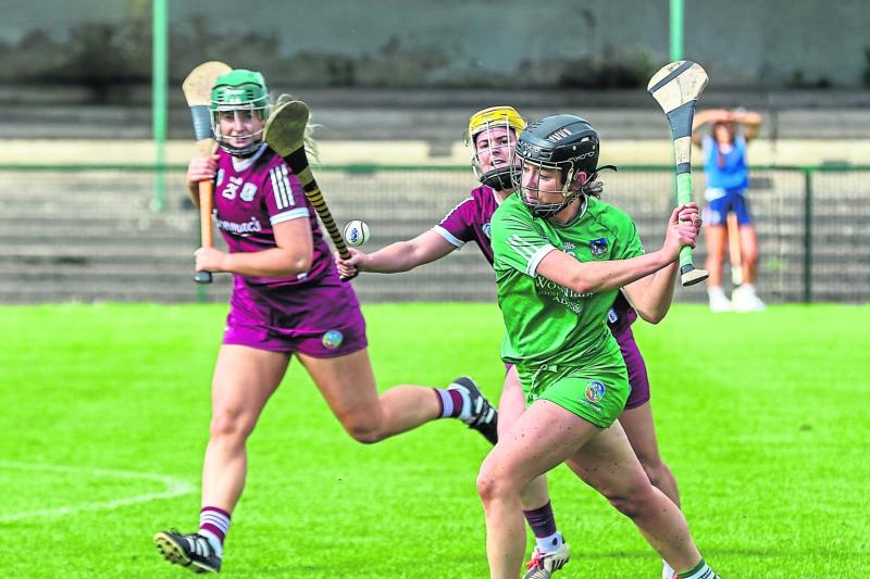 Limerick camogie side to face Kilkenny in league quarter-final named