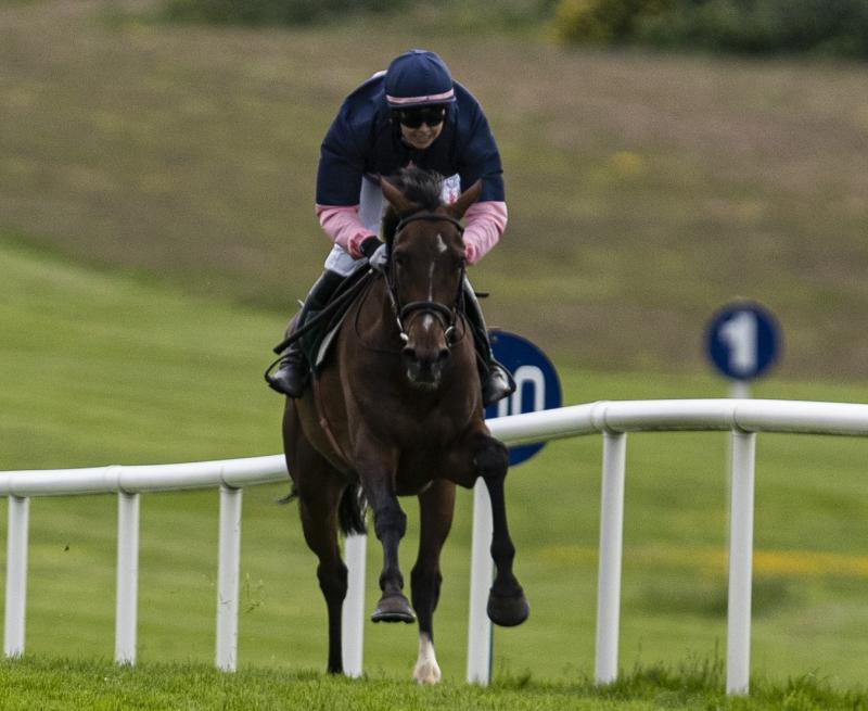 Hot streak continues on track for Limerick racing connections