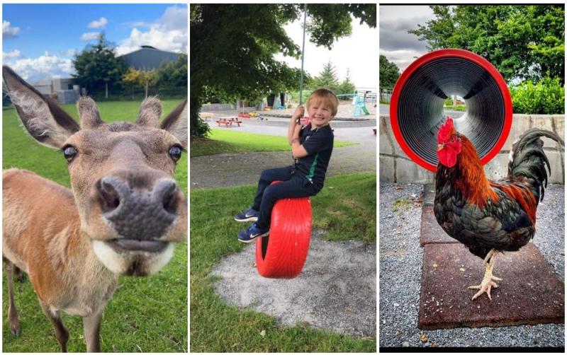 Lim GDO - Graune Pet Farm and Play Centre