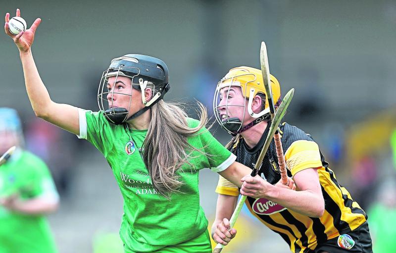 Limerick face Cork in Munster senior camogie final