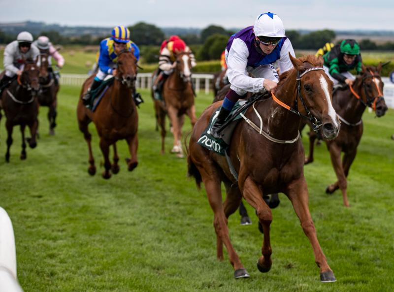 It's winners alright for Limerick racing connections