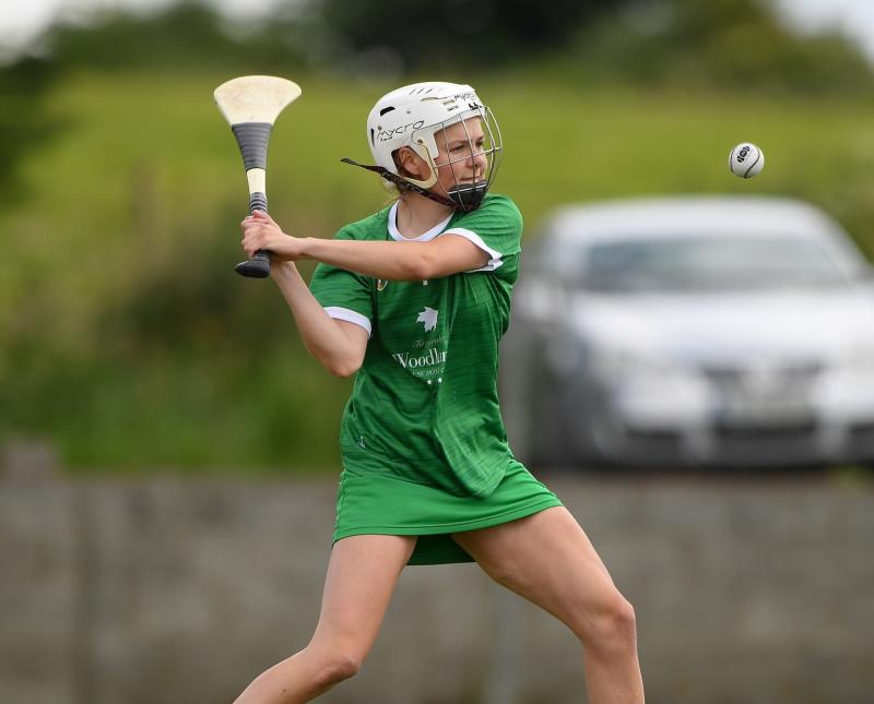 Limerick begin All-Ireland camogie championship with visit of Wexford