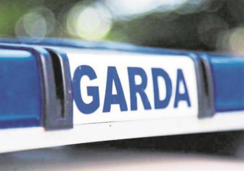 Window of Limerick bus smashed in rock-throwing incident