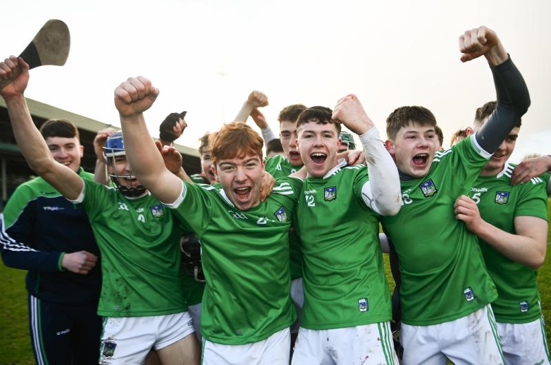 Limerick trio selected on 2020 AllIreland minor hurling Team of the