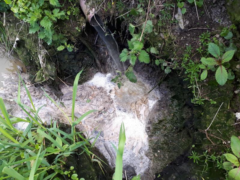 Concern over 'ongoing pollution issues' on Limerick river
