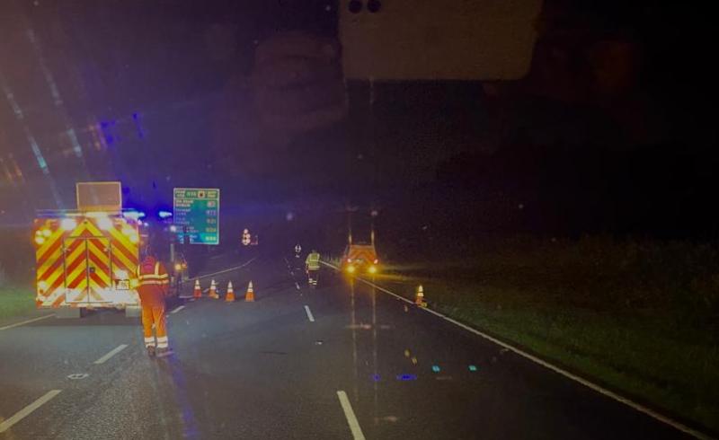 Four motorists hospitalised after collision with cow on Limerick outskirts