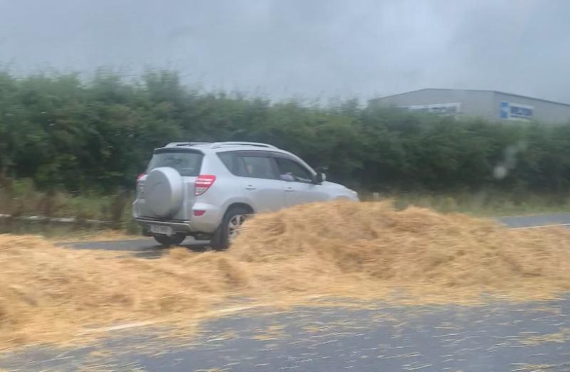 M7 bridge incident is final ‘straw’ - Limerick TD raises concerns with TII