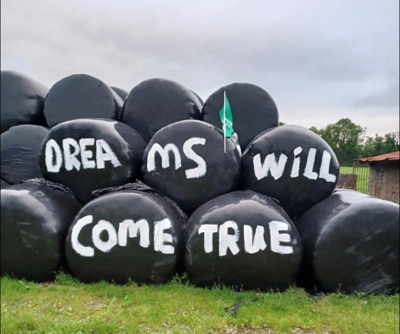 'Banksy of East Limerick' wishes hurlers well