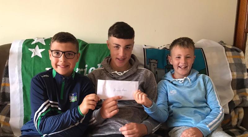 All-Ireland tickets fall out of the sky for Limerick brothers