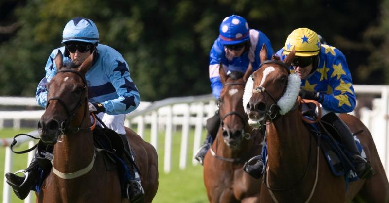 It's winners alright for Limerick racing connections