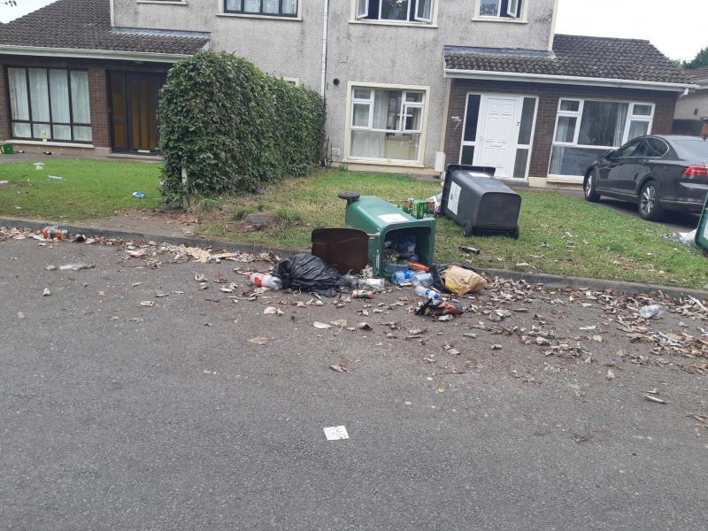 Gardai to continue ‘high visibility patrols’ following ‘chaotic scenes’ in Limerick housing estate