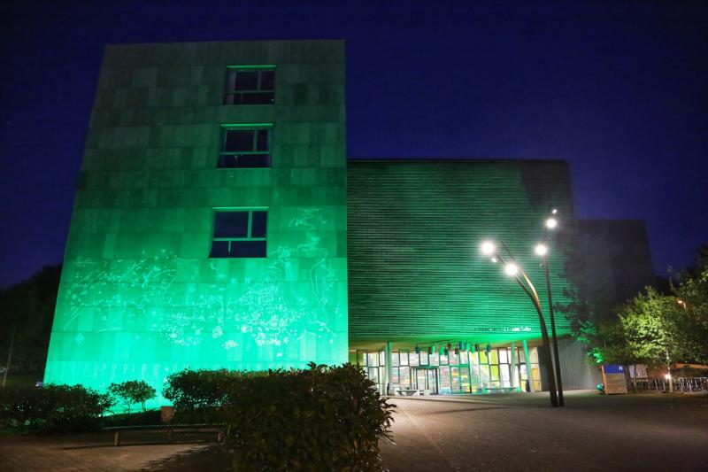 Limerick college promotes positive mental health by supporting Green Ribbon campaign