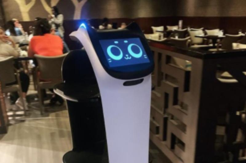 The future is here! Limerick restaurant welcomes first 'robot' employee