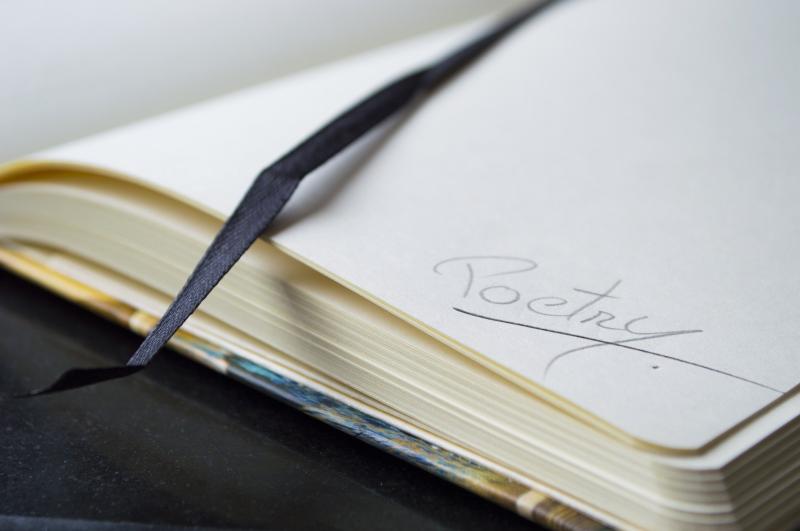 Calling all poets: University of Limerick may have the job for you!