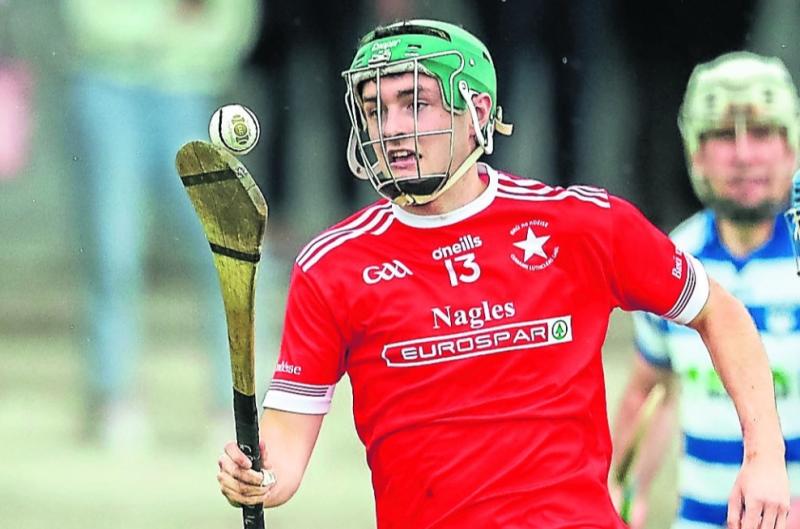 Bruff consign Murroe-Boher to Limerick intermediate ranks with play-off win