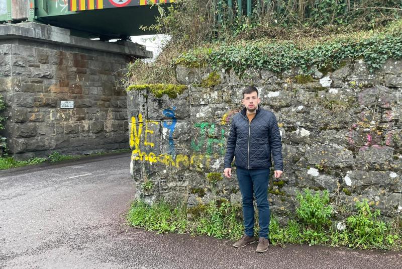 Calls for removal of 'horrific graffiti' at popular Limerick walkway
