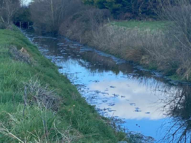 Limerick farmer's pollution concern as cattle display lumps - council investigation underway