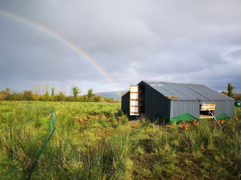 Cúlbhac Farm is an organic haven promoting biodiversity 
