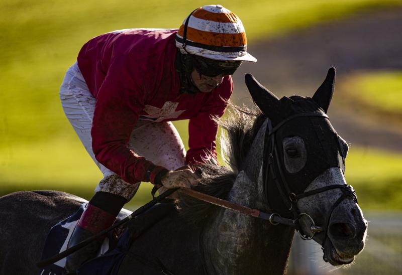 Limerick racing connections enjoy bumper spell of success
