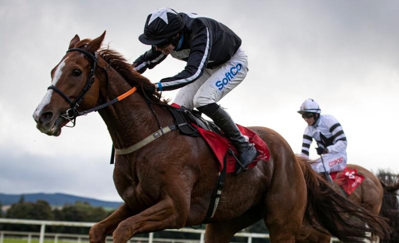 Big Limerick success at Cork among highlights for racing enthusiasts