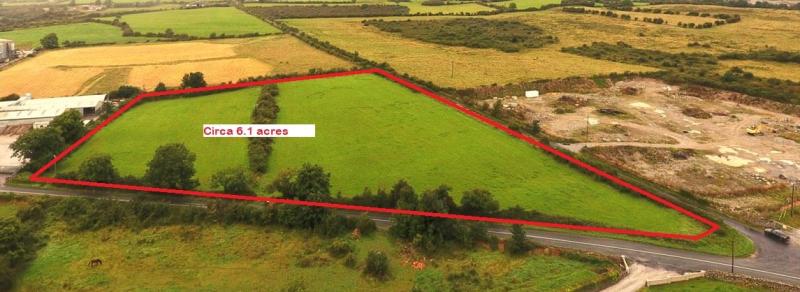 Record price for Limerick land at auction as bidders 'went at it'