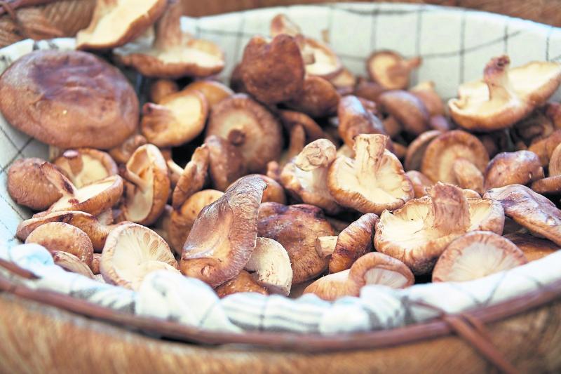 Healthy Living:  Best in season - mushrooms 