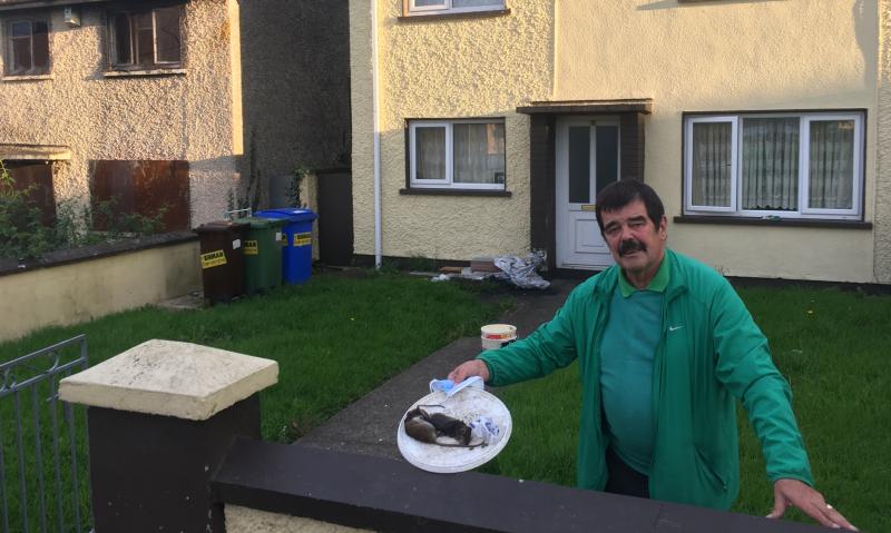 Houses due to be demolished in Limerick have instead been refurbished 