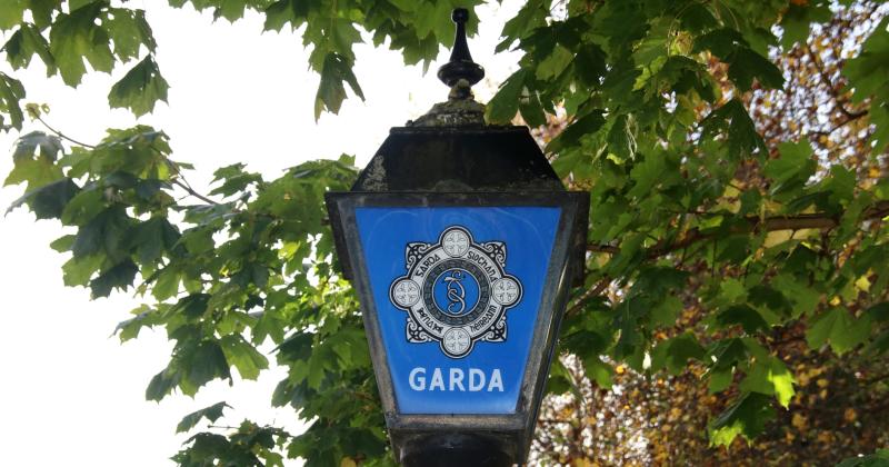 Gardai arrest made man over incident with consaws