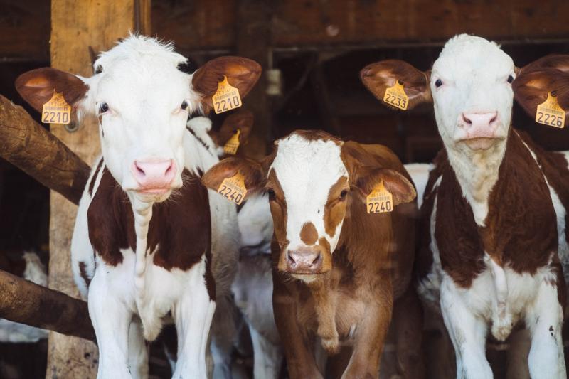 Details of financial support package to assist farmers announced