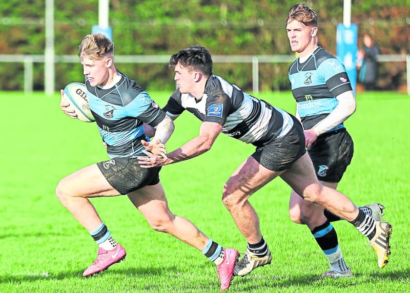 Limerick clubs chase precious All-Ireland League wins