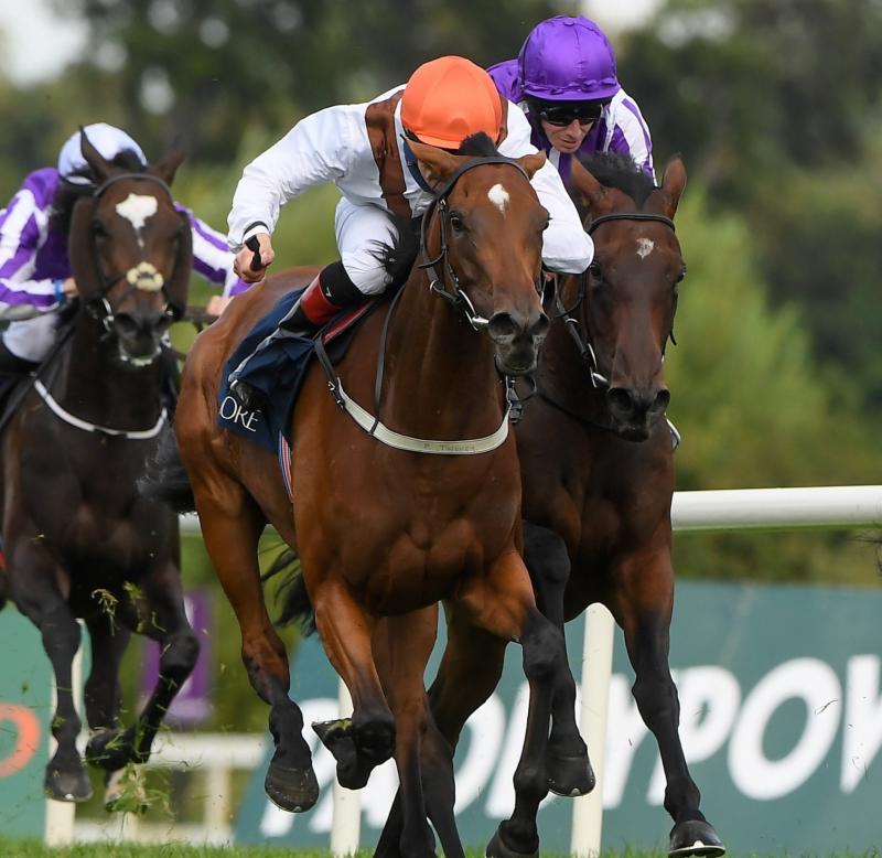 Limerick jockey dreams of Breeders' Cup glory in the USA tonight