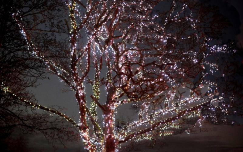 Light up a memory 2021 ceremony at Milford Hospice goes virtual