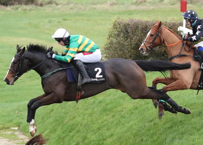 Limerick racing enthusiasts enjoy bumper spell