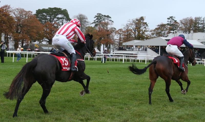 Rich pickings for Limerick racing connections on the track